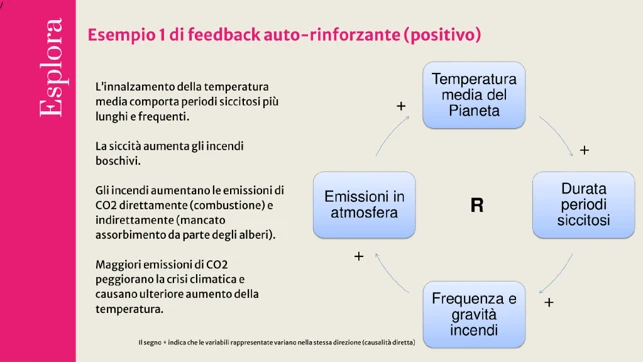Diagramma di feedback auto-rinforzante che illustra le relazioni tra aumento della temperatura globale, siccità, incendi boschivi ed emissioni di CO₂.